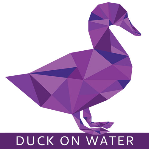 Duck On Water Web Design Company